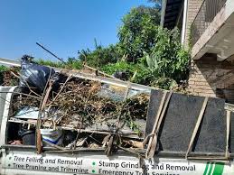 Best Demolition Debris Removal  in Monongah, WV